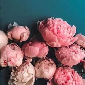 Meet your Posher, Sylvia